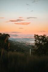 View from the top of the mountain with trees on the Adriatic sea at a beautiful bright sunset 