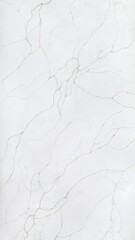 New Diana Marble Texture Background. Natural Diana Marble Texture Used For Interior Exterior Home Decor And Ceramic Slab Tiles And Flooring Tiles And Wallpaper Decorative Architecture Glossy Slab tile