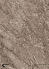 New Diana Marble Texture Background. Natural Diana Marble Texture Used For Interior Exterior Home Decor And Ceramic Slab Tiles And Flooring Tiles And Wallpaper Decorative Architecture Glossy Slab tile