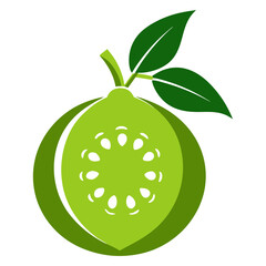 Guava fruit vector illustration 