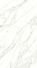 New Diana Marble Texture Background. Natural Diana Marble Texture Used For Interior Exterior Home Decor And Ceramic Slab Tiles And Flooring Tiles And Wallpaper Decorative Architecture Glossy Slab tile