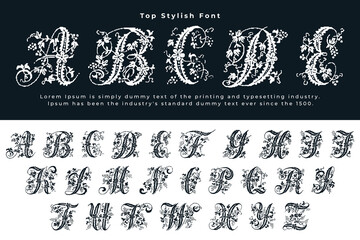 Trendy display typeface bold serif. Modern vintage alphabet collection. Uppercase, lowercase, stylish alternate typography. Vector illustration