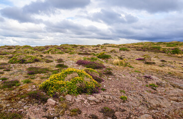 A rocky landscape of Cap Frehel in Brittany with sparse vegetation.