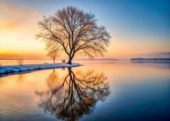 Tranquil Winter Lake Scene in New York with Leafless Tree Reflections Creating a Serene Atmosphere for Peaceful Portrait Photography