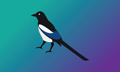 Vector illustration of a magpie. 

