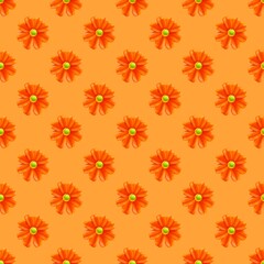 seamless floral pattern