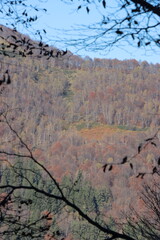 La montaña enseña a caminar, amar y contemplar los cambios de las estaciones. En este caso el color naranja abraza el otoño y el drone lo capta en video.