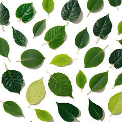 Naklejka premium transparent png of falling leaves in absolute focus, transparent PNG