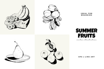 Abstract fruits vector black ink . Modern trendyи minimal style. Exotic Healthy Food. Hand drawn design for wallpaper, wall decor, print, postcard, cover, template, banner.