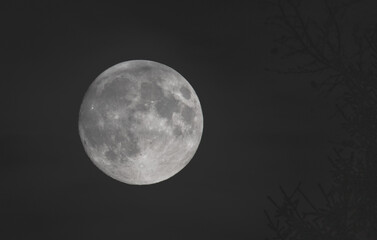 full moon in the night
