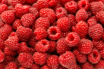 Tasty fresh raspberry as a background.