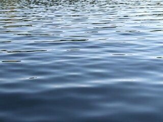 Naklejka premium Gentle waves on a mirror-like lake surface, calm lake, flat surface