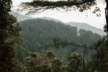 A view of mountain filled with trees from the road side.