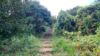 烏帽子岳展望台への険しい道