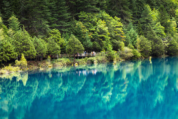 Obraz premium Landscape of pine trees reflected in the Rhinoceros Lake in Jiuzhaigou National Park in summer.