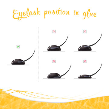 Eyelash position in glue