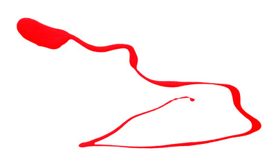 Red brush strokes on a white background.