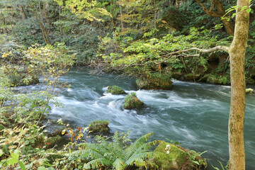 Japan Aomori Oirase Valley 