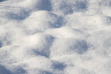 The snow is white and fluffy, covering the ground