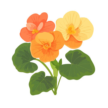orange and yellow flowers with green leaves clip art preview