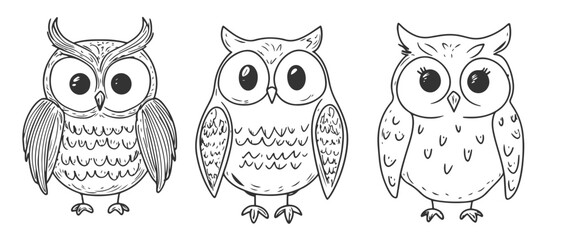 Fototapeta premium Set of endearing hand-drawn owls in line art vector style, showcasing distinct feathers and large expressive eyes.
