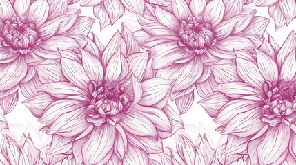 A black and white drawing of a flower with a white background. The flower is a dahlias and it is surrounded by other dahlias. 