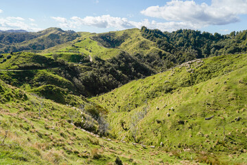 Naklejka premium Rolling green hills under a blue sky with scattered clouds. Vibrant grass and rocky patches in the foreground, trees dotting the landscape. Soft light adds serenity, evoking a peaceful rural scene.