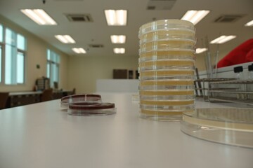 Scientists analyze drug resistance using petri dishes in for laboratory research