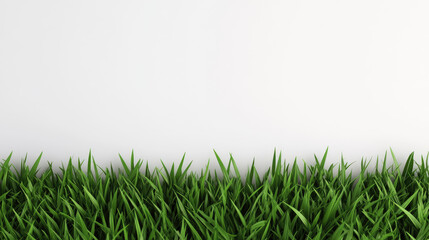 Obraz premium Elegant grass textured wallpaper background, ideal for wedding invitations, baby shower cards, and party invites, featuring ample white space for personalization.