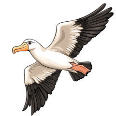 Obraz premium Albatross in Flight
