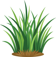 isolated grass no background free vector