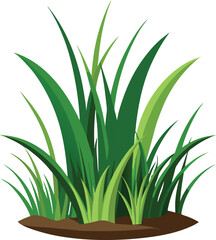 isolated grass no background free vector