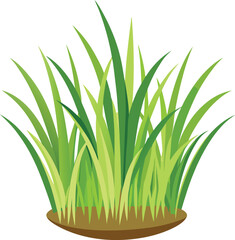 isolated grass no background free vector