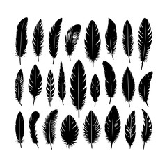 Feather icons vector. Bird feather silhouette collection. Feather Symbols