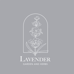 Lavender flower vector logo. Floral design label