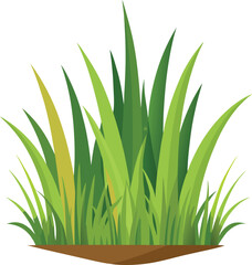 Fototapeta premium isolated grass no background free vector