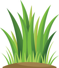 isolated grass no background free vector