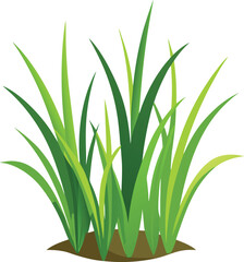 isolated grass no background free vector