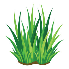 isolated grass no background free vector