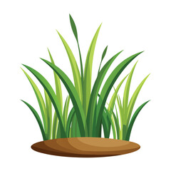 isolated grass no background free vector