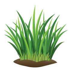 isolated grass no background free vector