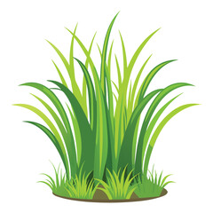 isolated grass no background free vector