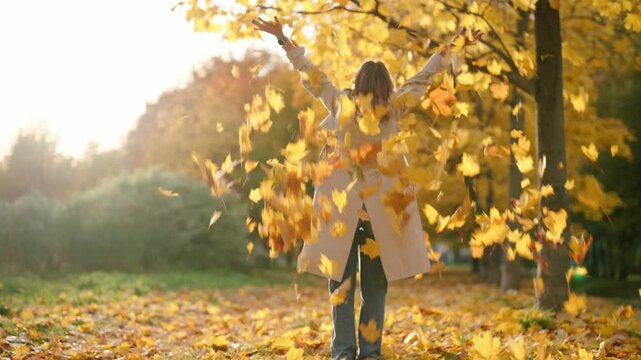 Woman resting in park in sunny autumn day, lady throwing foliage up, slow motion . Picturesque landscape in golden forest in fall day, full-length back view of female person looking at flying leaves