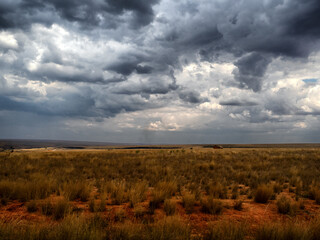 Fototapeta premium Madagaskar