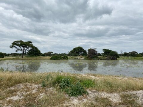 Tarangire Nationalpark, Tansania, Afrika