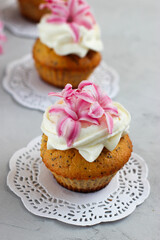 Close up view of homemade cupcakes with poppy seeds decorated with pink hyacinth flowers on white doily over grey background. Spring dessert. Holiday concept.