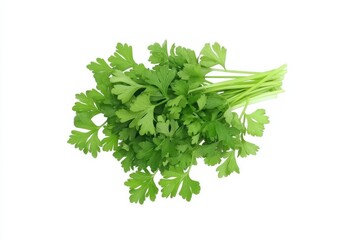 Freshly harvested coriander with vibrant green leaves, perfect for culinary use or as a natural garnish in dishes.