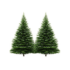 Fototapeta premium Two Tall Evergreen Trees Isolated on Transparent Background