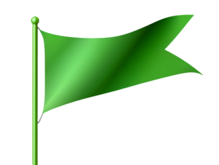 a green flag on a pole