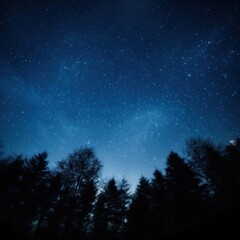 Naklejka premium Nature night sky outdoors.